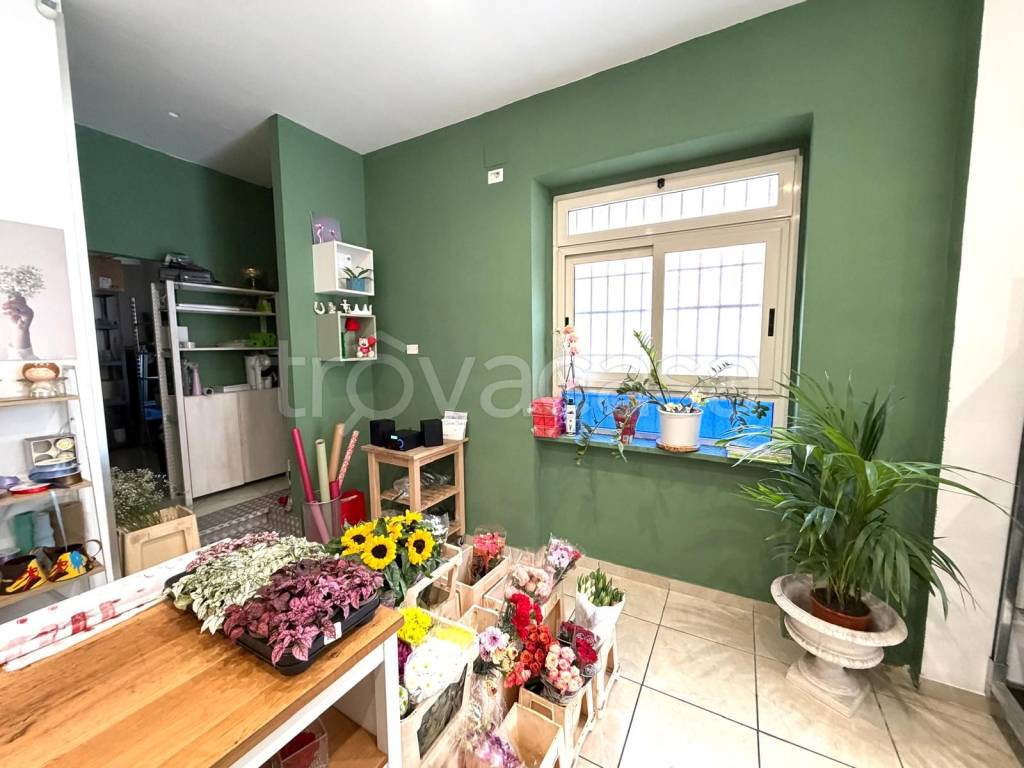 immagine annuncio 8 di 12