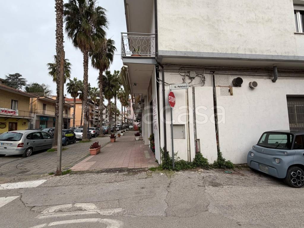 immagine annuncio 4 di 12