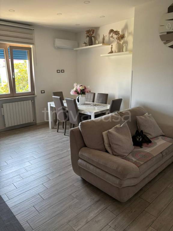 immagine annuncio 7 di 14