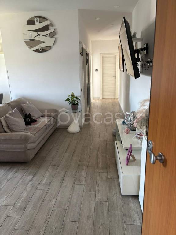 immagine annuncio 8 di 14