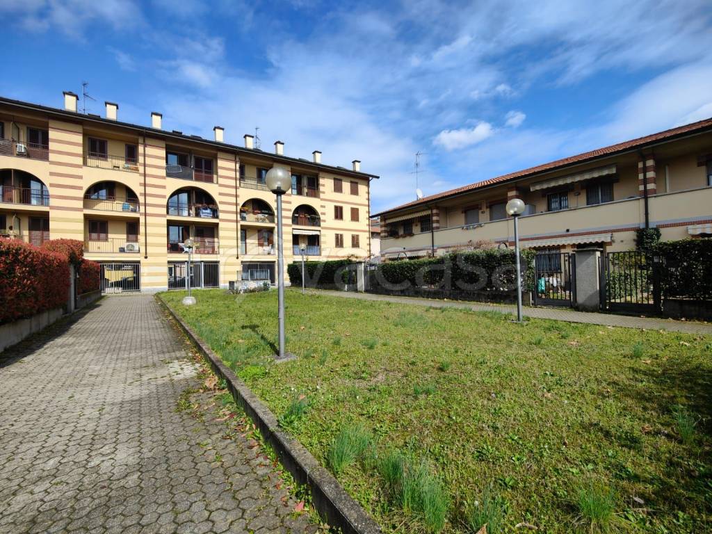 immagine annuncio 3 di 15