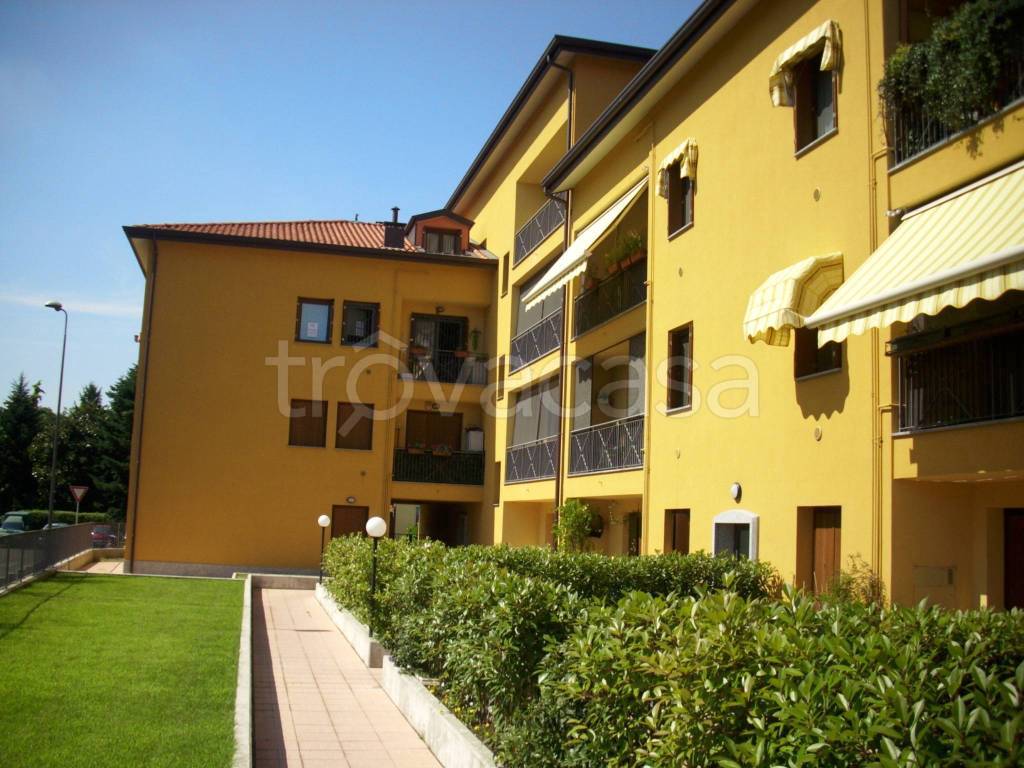 immagine annuncio 13 di 15