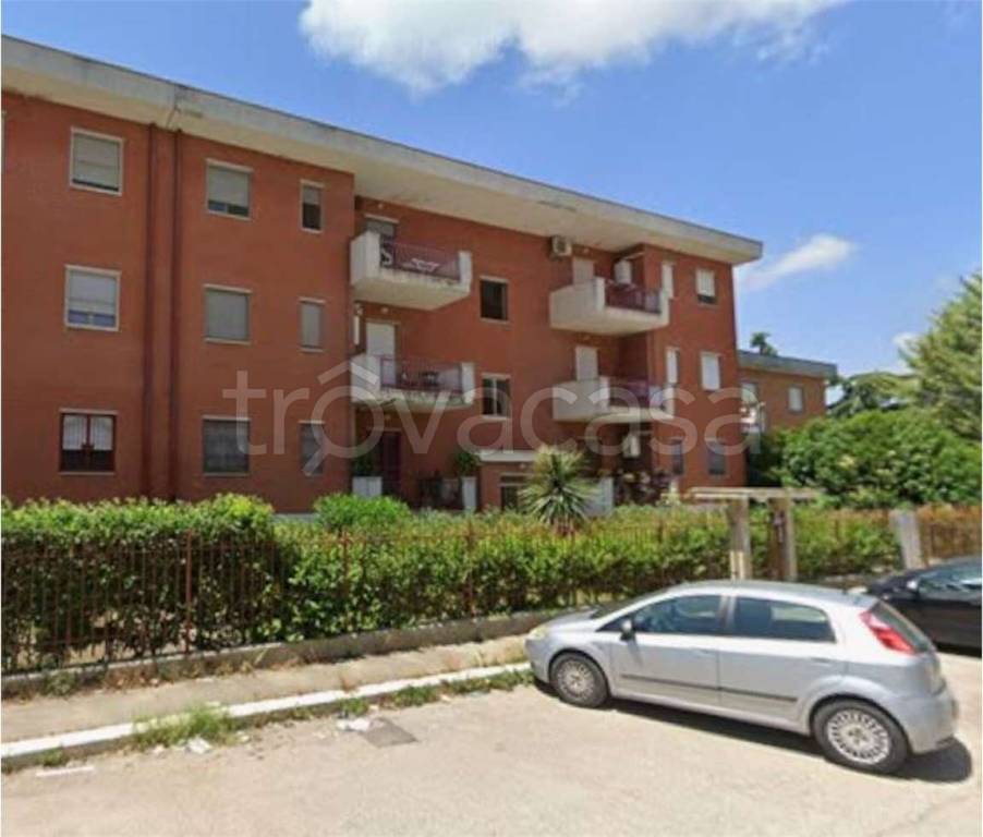 immagine annuncio 10 di 15