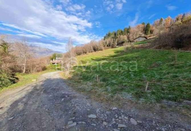 immagine annuncio 2 di 14