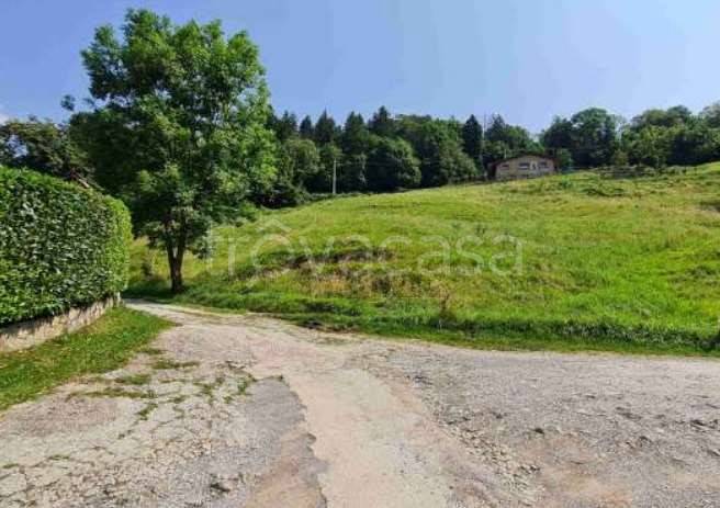 immagine annuncio 7 di 14