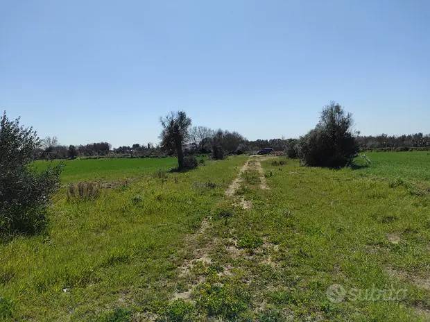 immagine annuncio 6 di 15