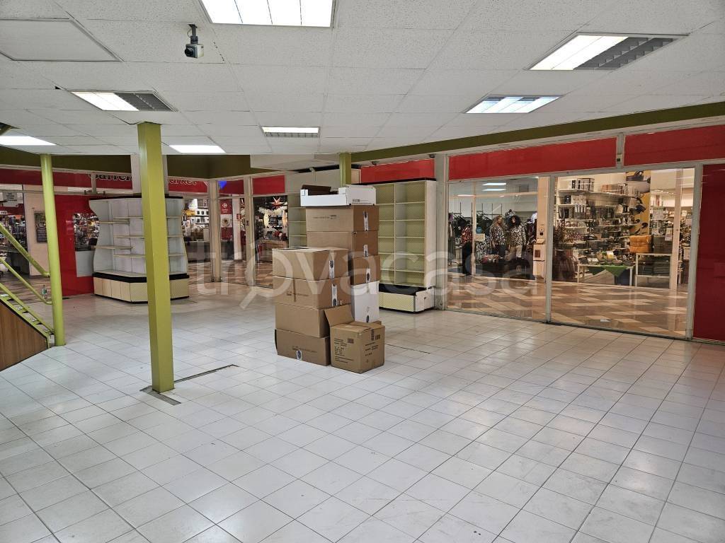 immagine annuncio 3 di 12