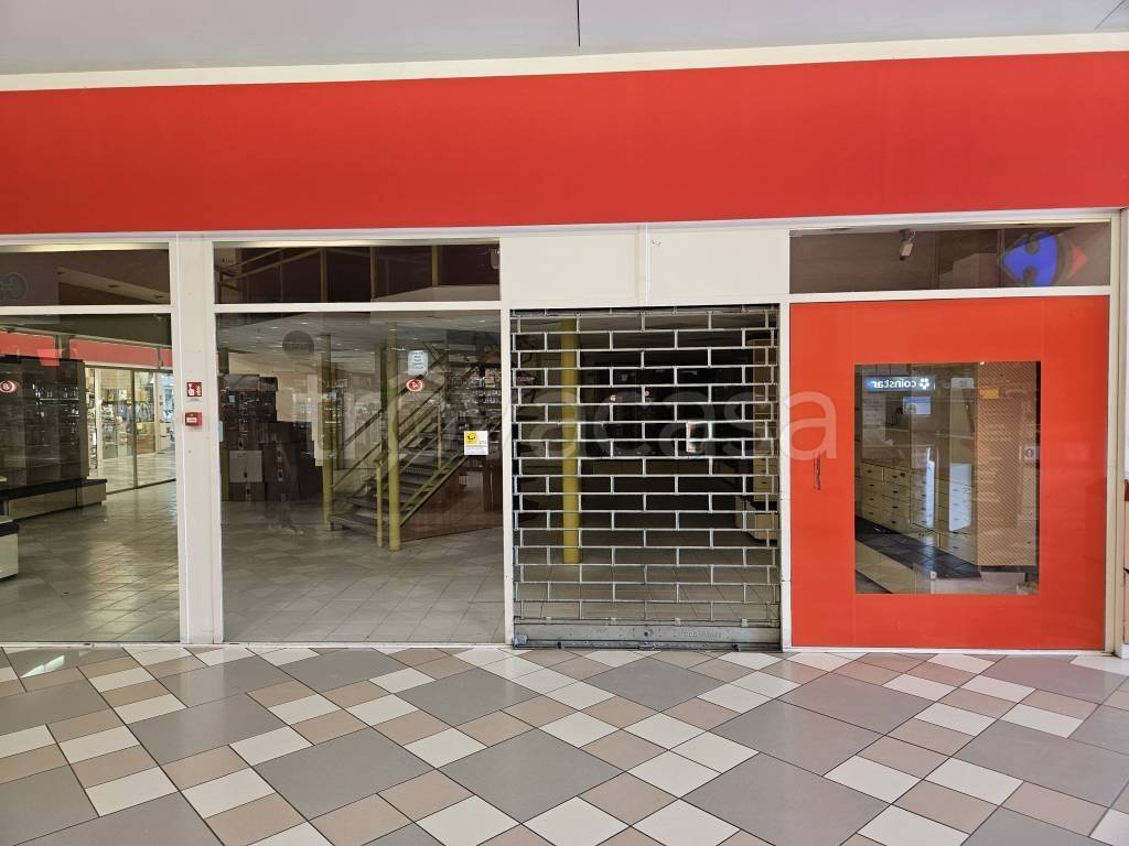 immagine annuncio 7 di 12