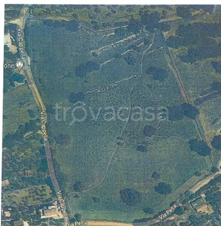 immagine annuncio 8 di 12