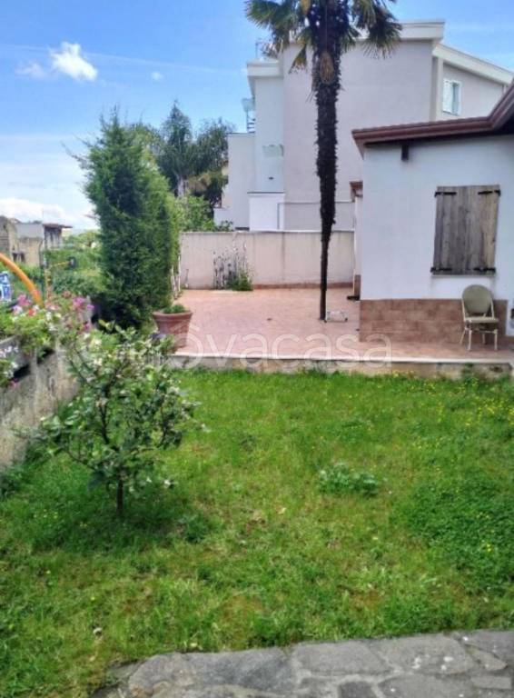 immagine annuncio 8 di 11