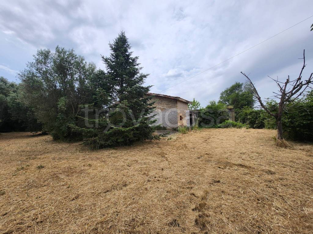 immagine annuncio 10 di 12