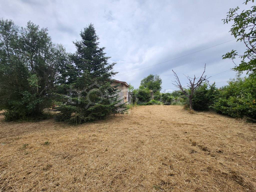 immagine annuncio 11 di 12