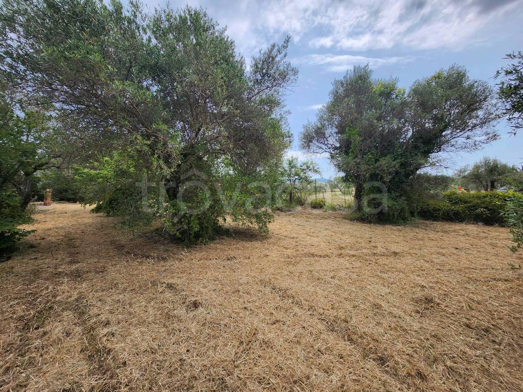 immagine annuncio 9 di 12