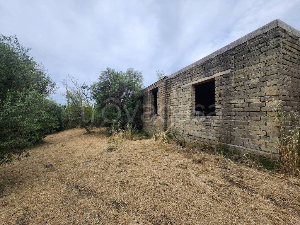 immagine annuncio 1 di 12