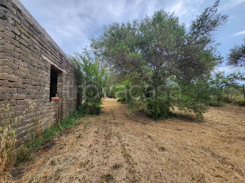 immagine annuncio 2 di 12