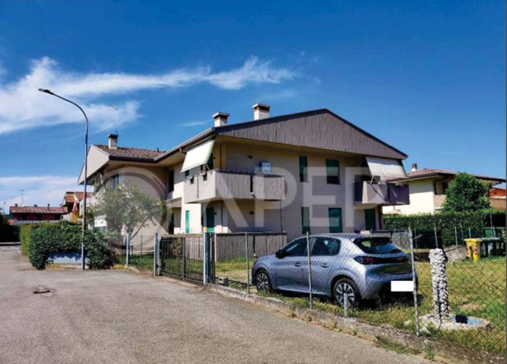 immagine annuncio 1 di 14