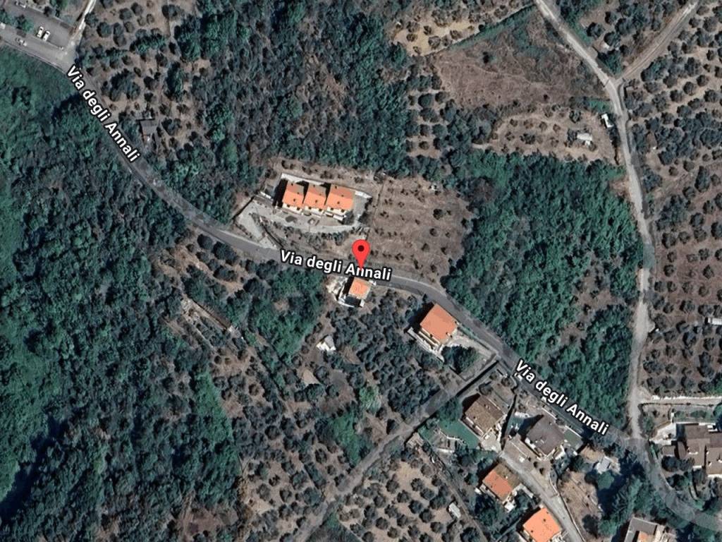 immagine annuncio 11 di 13