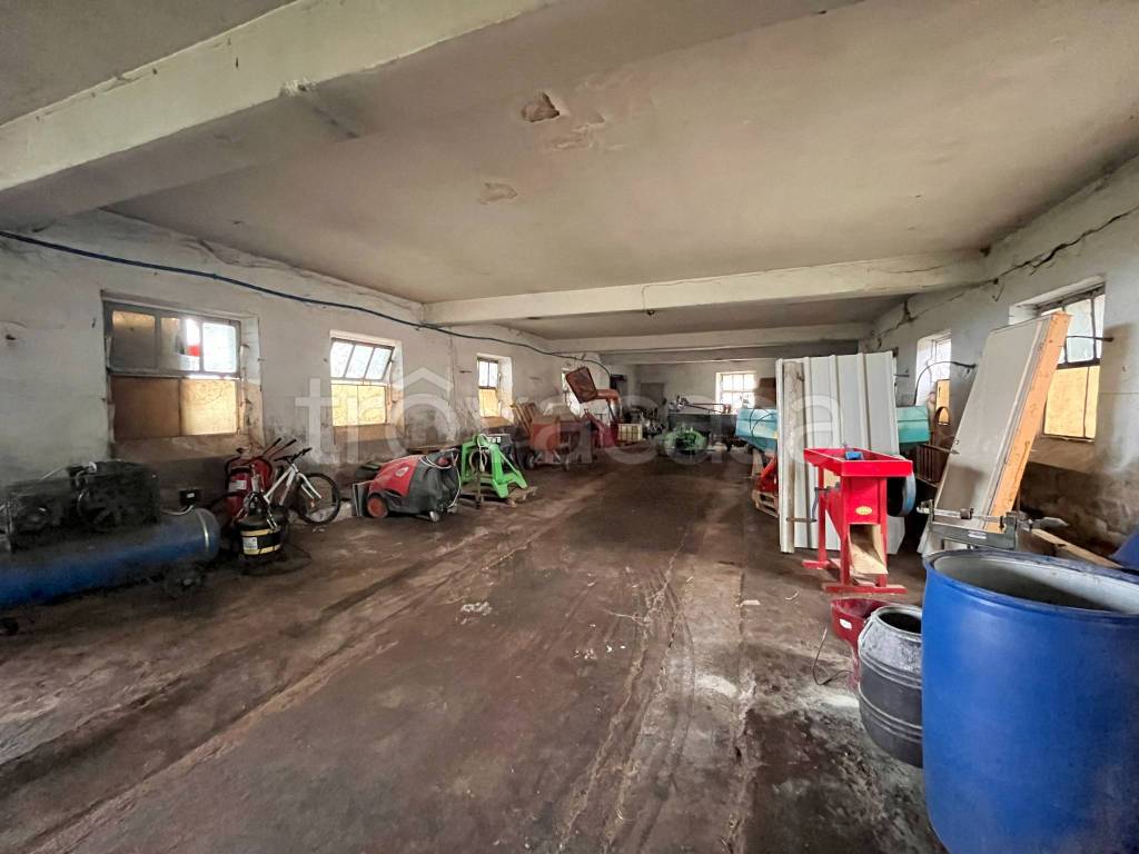 immagine annuncio 5 di 12