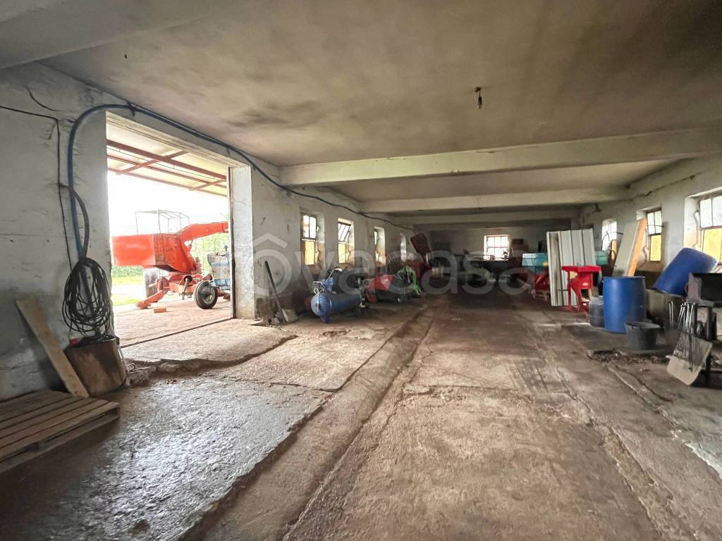 immagine annuncio 6 di 12