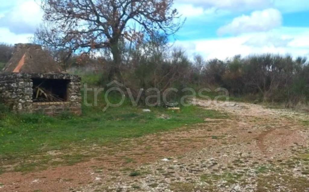 immagine annuncio 7 di 11