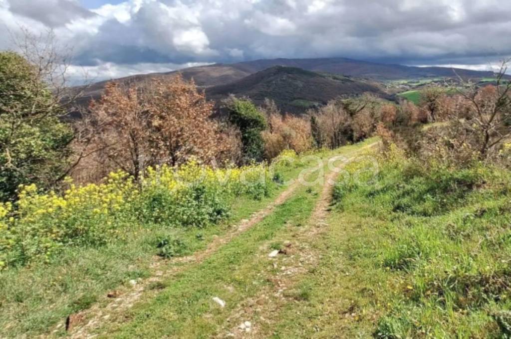 immagine annuncio 8 di 11