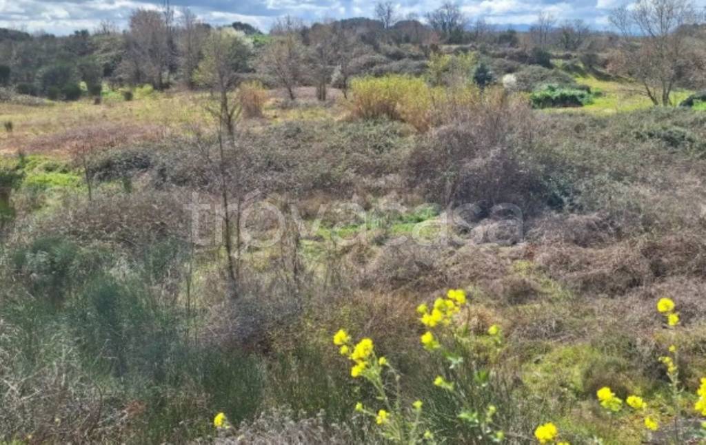 immagine annuncio 9 di 11