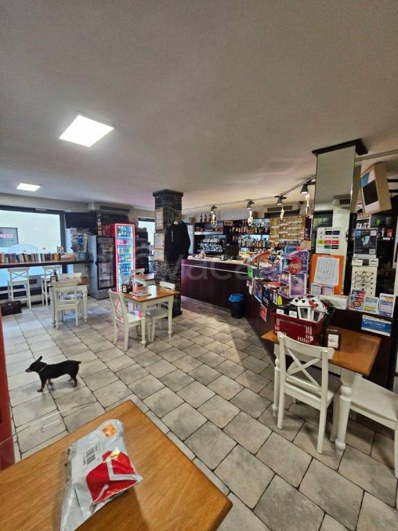 immagine annuncio 1 di 9