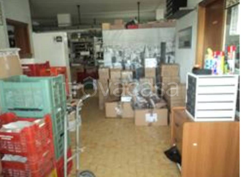 immagine annuncio 10 di 12