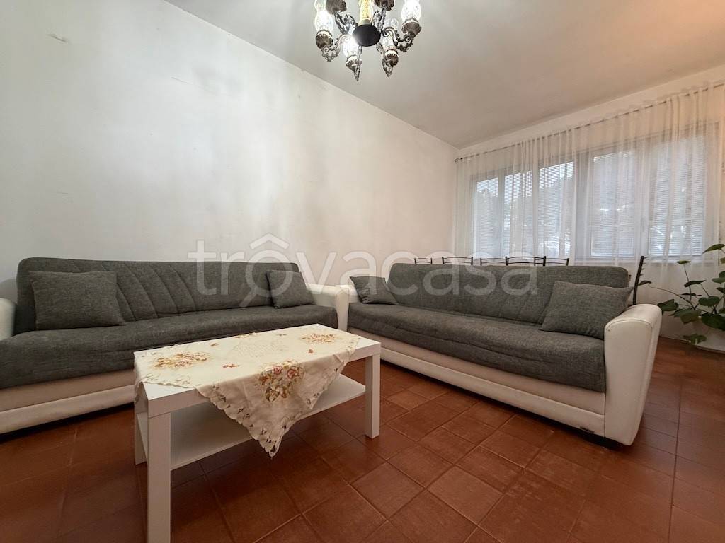 immagine annuncio 2 di 12