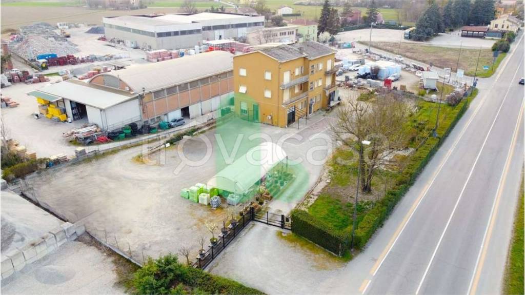 immagine annuncio 5 di 14