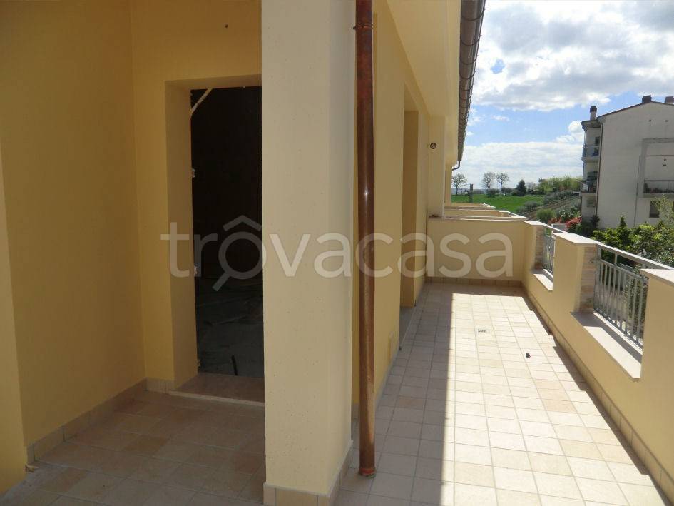 immagine annuncio 6 di 8