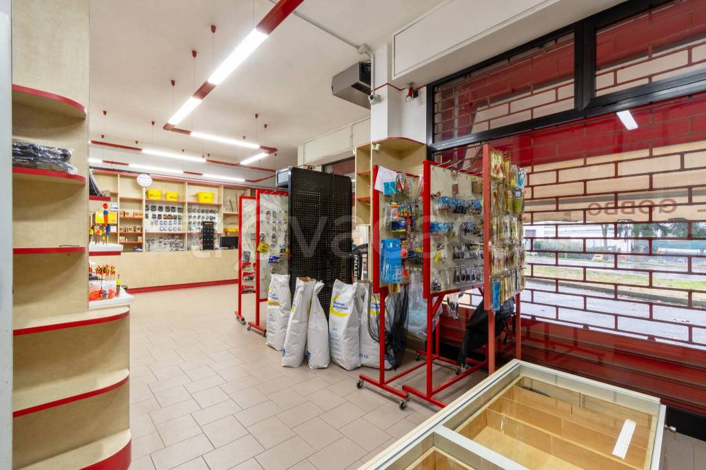 immagine annuncio 4 di 10