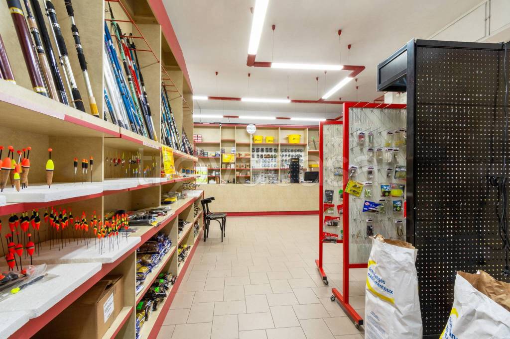 immagine annuncio 6 di 10