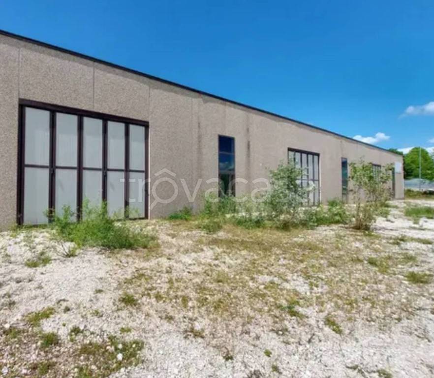 immagine annuncio 1 di 11