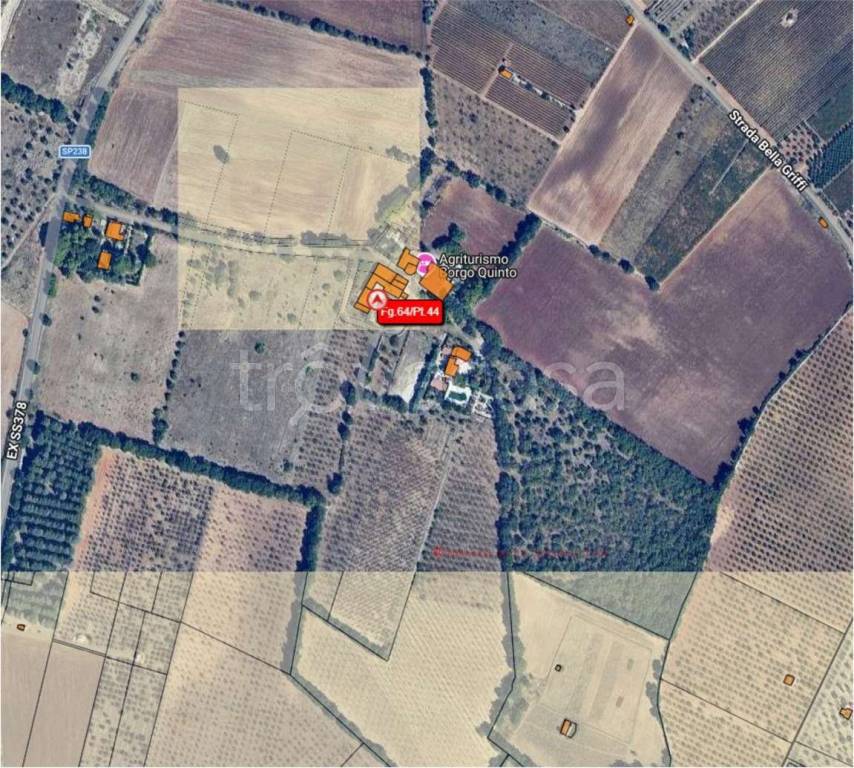 immagine annuncio 11 di 15