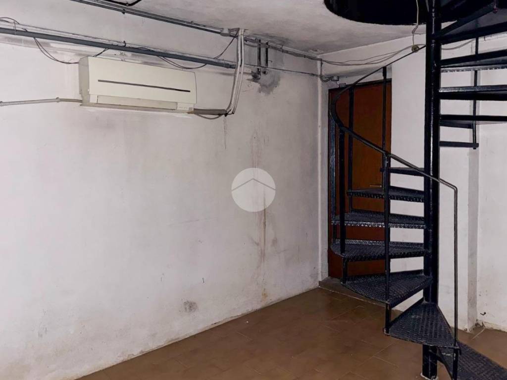 immagine annuncio 11 di 14