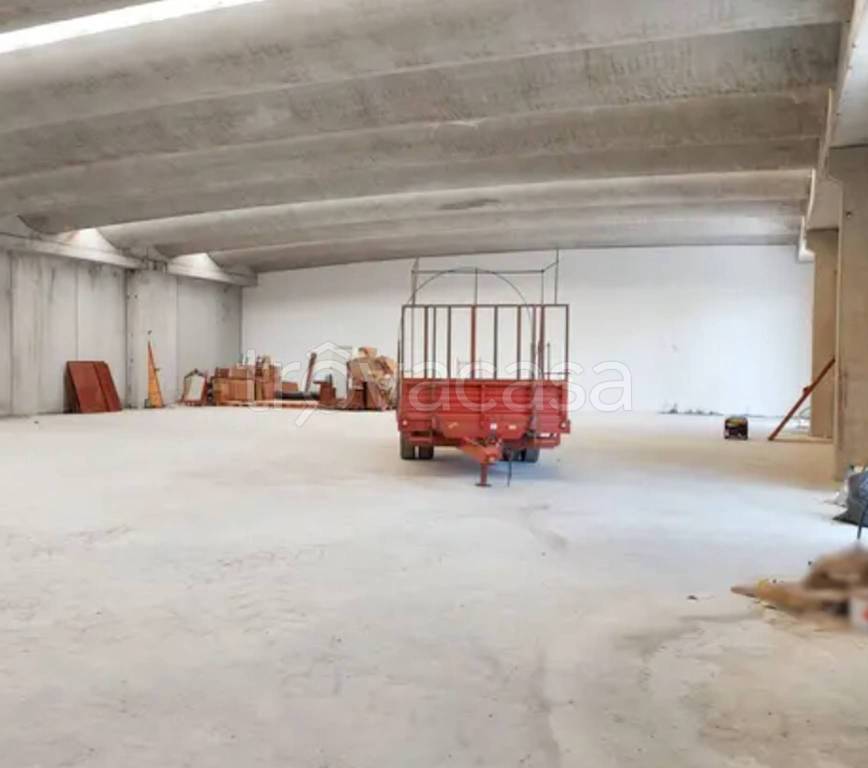 immagine annuncio 4 di 11