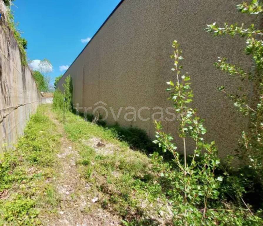 immagine annuncio 5 di 11