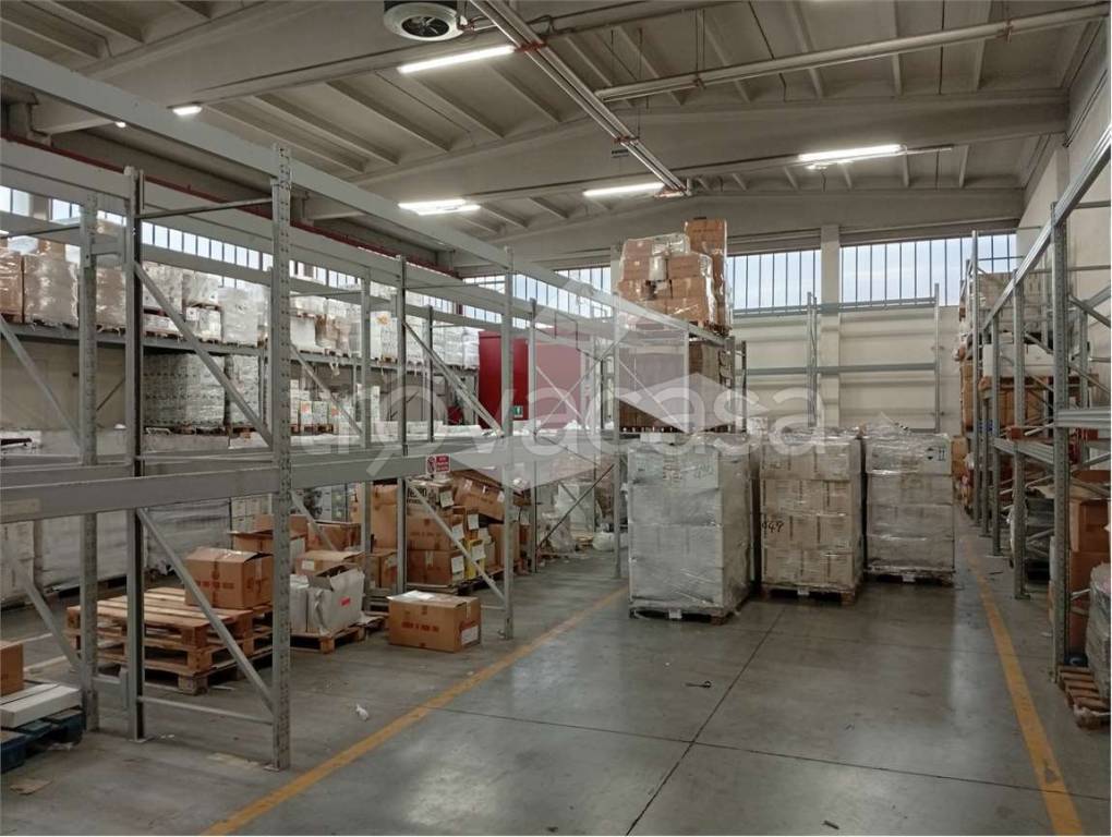 immagine annuncio 3 di 10