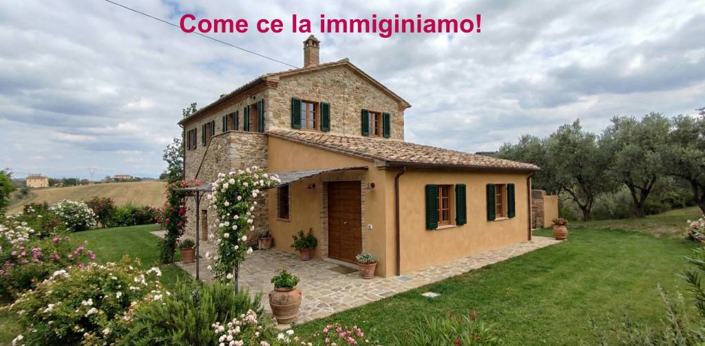 immagine annuncio 1 di 8