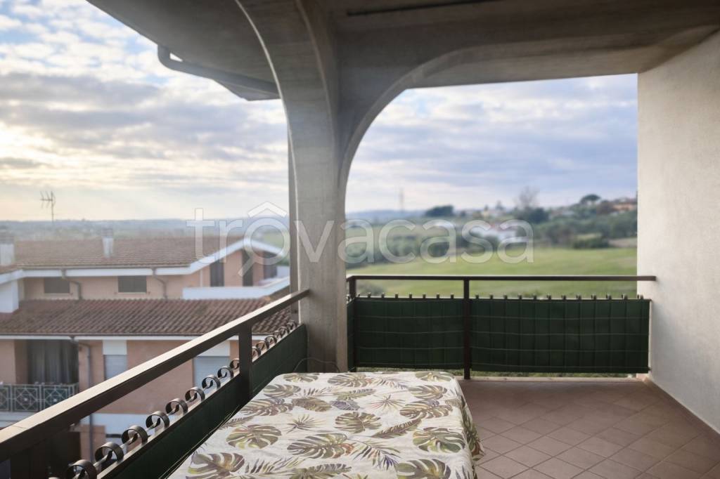 immagine annuncio 6 di 12