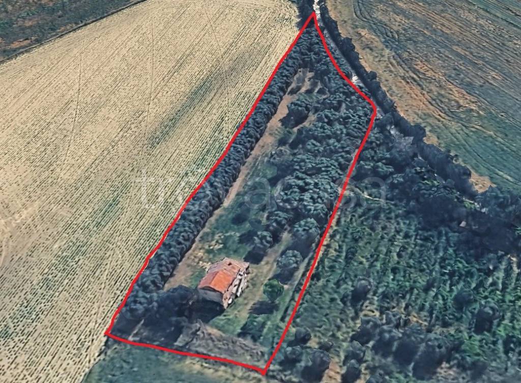 immagine annuncio 4 di 8