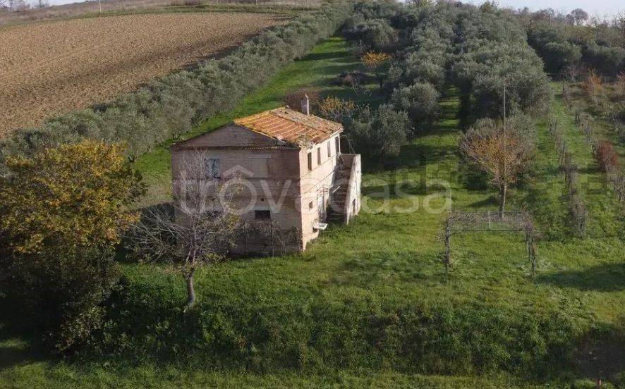 immagine annuncio 7 di 8