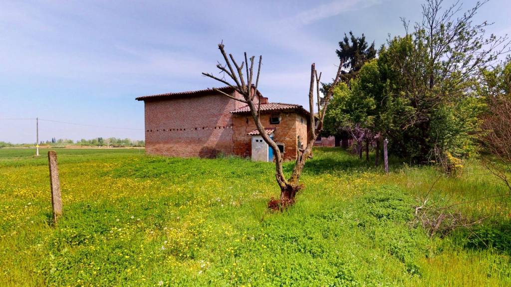 immagine annuncio 4 di 12