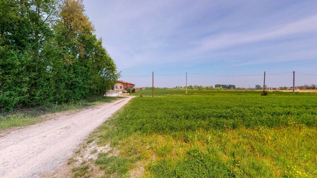 immagine annuncio 8 di 12