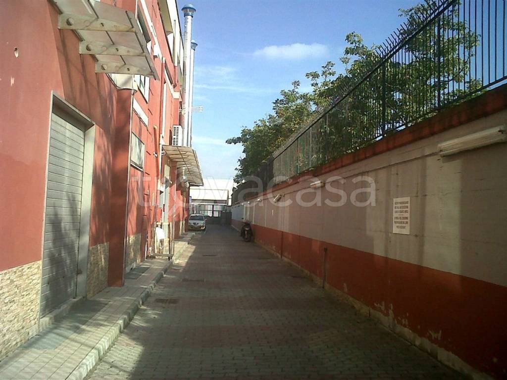 immagine annuncio 1 di 11