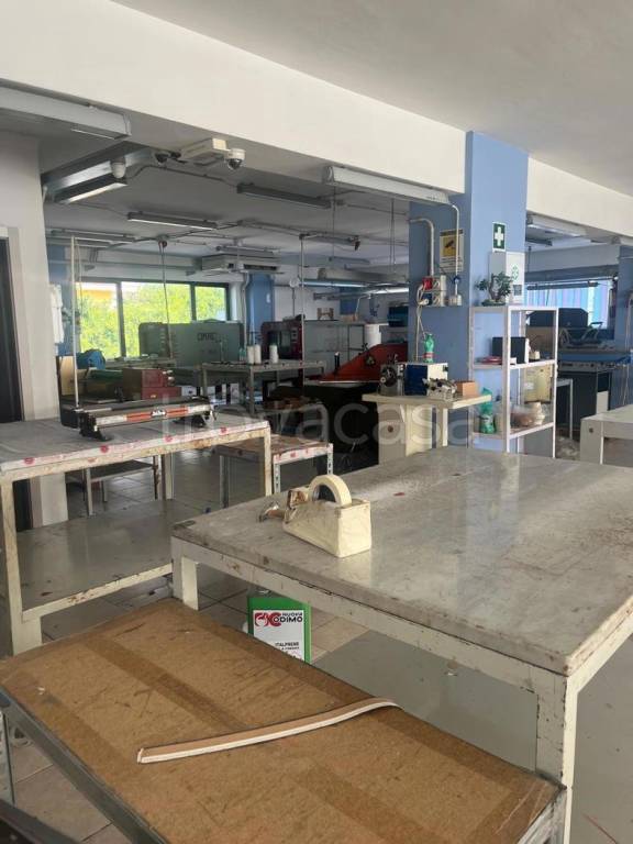 immagine annuncio 3 di 11