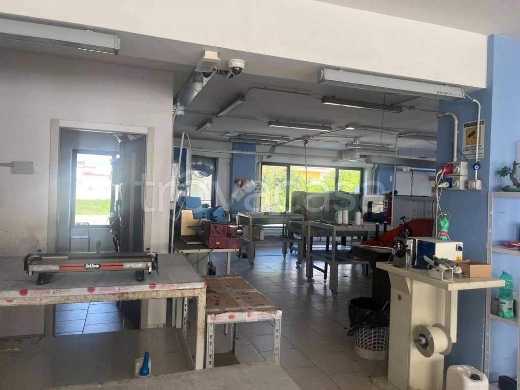 immagine annuncio 5 di 11