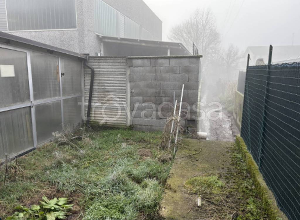 immagine annuncio 4 di 11