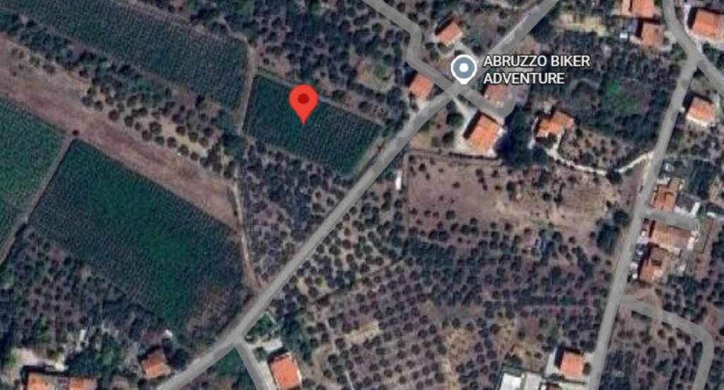 immagine annuncio 6 di 11